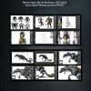 11 teasing pict C E pict gallery1