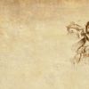 wallpaper Fantasy fairy2 jpeg