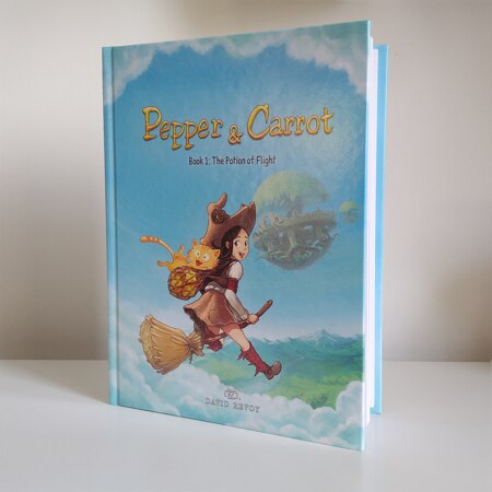 Photo of the book 1