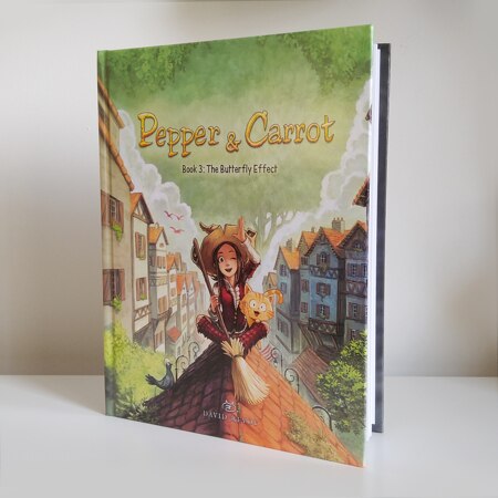 Photo of the book 3